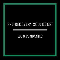 pro recovery solutions, llc & companies logo image