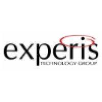 experis technology group logo image