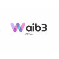 waib3 capital logo image