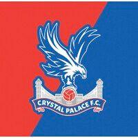 crystal palace football club logo image