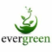 evergreen logo image