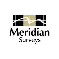 meridian surveys logo image