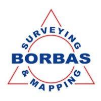 borbas surveying & mapping logo image