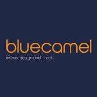 blue camel design llc