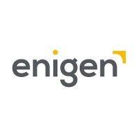 enigen logo image