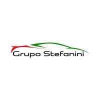 grupo stefanini logo image