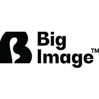 big image logo image