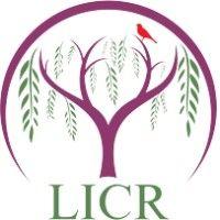 long island center for recovery inc. logo image