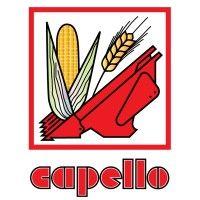 capello usa logo image