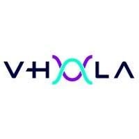 v-hola labs logo image