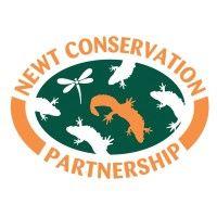 newt conservation partnership logo image