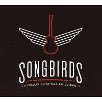 songbirds guitar museum logo image