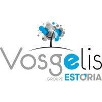 vosgelis logo image