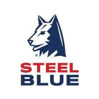 steel blue logo image