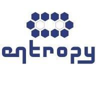 entropy logo image