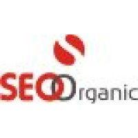 seo organic india logo image