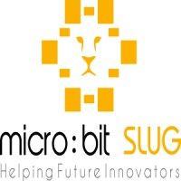 micro:bit slug logo image