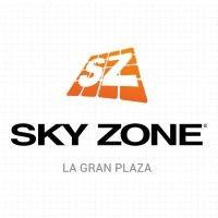 skyzoneguadalajara logo image