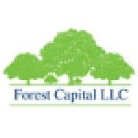 forest capital llc logo image