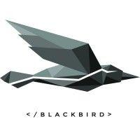 blackbirdtrading logo image