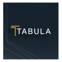 tabula investment management logo image