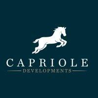 capriole developments linx logo image