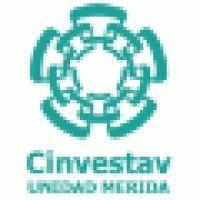 cinvestav unidad mérida logo image