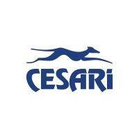 cesari multimodal logo image