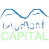 blue mountain capital management logo image