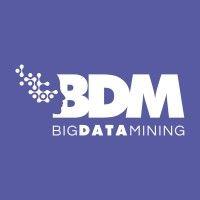 bdm logo image