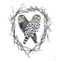 barking owl logo image