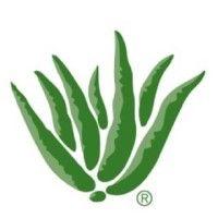 aloe up sun and skin care products logo image