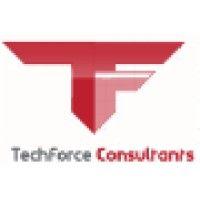 techforce consultants logo image