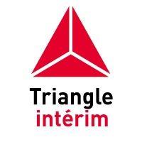 triangle interim logo image