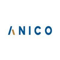 anico holding logo image