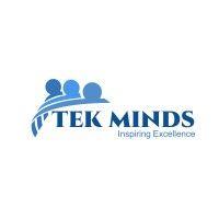 tek minds llc