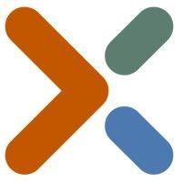 experis nederland logo image