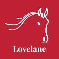 lovelane special needs horseback riding program