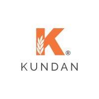 kundan rice mills ltd logo image