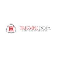 triumph india software services pvt ltd logo image