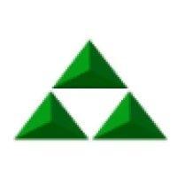 tri-emerald financial group logo image