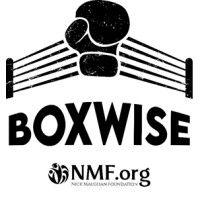 boxwise logo image