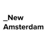 the new amsterdam group llc logo image