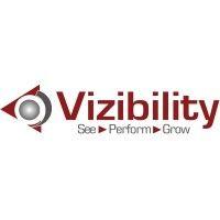 vizibility llc