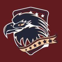 american raptors logo image