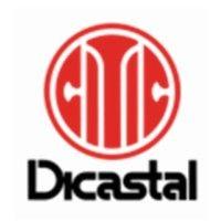 citic dicastal logo image