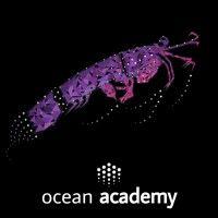 ocean academy logo image