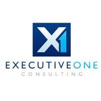 executive one consulting (x1 consulting, llc)