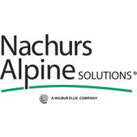 nachurs alpine solutions logo image