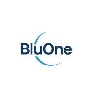 bluone india logo image